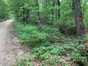 Lot 6 Miller Mountain Road sold home in Saluda, SC