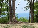 Lot 54 Couch Mountain None sold home in Fletcher, SC