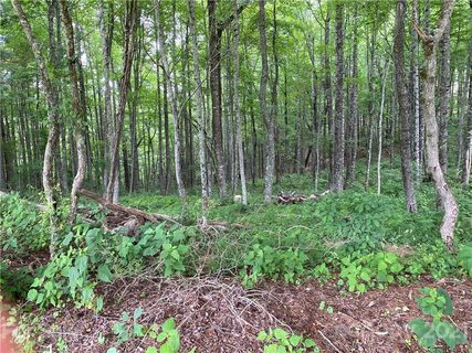 000 Overlook Drive 44,45 sold home in Spruce Pine Heights, Spruce Pine, NC