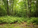 Tbd Opossum Path sold home in Brevard, SC