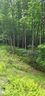 9999 Whitetail Trail T133A sold home in Rosman, SC