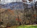Lot 29 Falling Glen Drive sold home in Waynesville, SC
