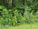 000 Robinhood Loop 16,17 sold home in Statesville, SC