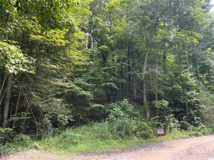 Tbd High Top Drive 4 sold home in Burney Mountain, Fletcher, NC