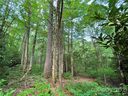 999 Cardinal Road CH-8 sold home in Brevard, SC