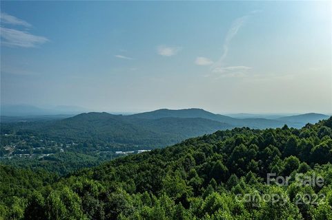 36117 Pisgah View Drive 14