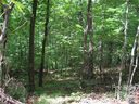 000 Bobcat Trail sold home in Saluda, SC