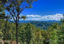 235 Curtain Bluff sold home in Hendersonville, SC