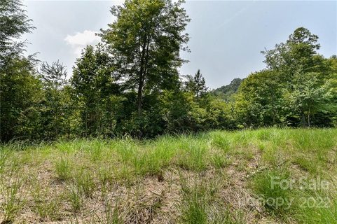 441 The Vines Boulevard pending home in The Vines, Marshall, NC