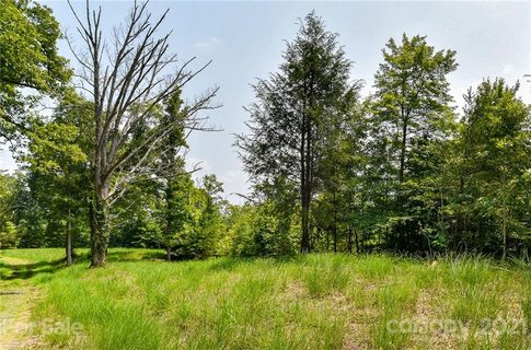 421 The Vines Boulevard 16