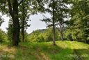387 The Vines Boulevard 17 sold home in Marshall, SC
