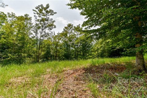 319 The Vines Boulevard pending home in The Vines, Marshall, NC