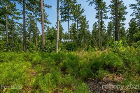 1262 Scenic Lane 75