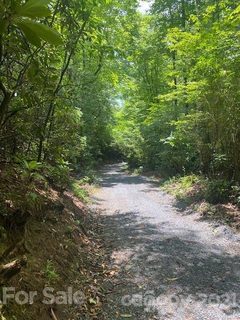 L2 Wilson Drive L002 sold lot in Happy Acres, Brevard, NC