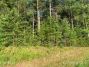 1111 Table View Drive sold home in Morganton, SC
