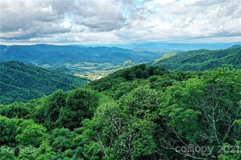 222 Windswept Ridge Road Lot 17 sold lot in The Glade, Canton, NC
