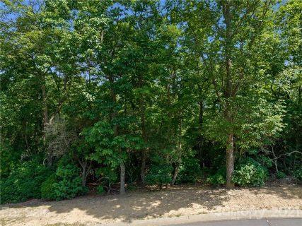 1126 Mills River Way 48