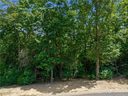 1126 Mills River Way 48 sold home in Horse Shoe, SC