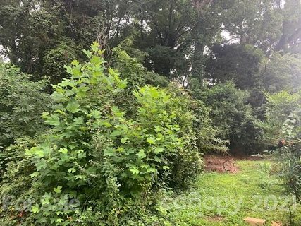 325 Neal Drive sold lot in Charcon Heights, Charlotte, NC