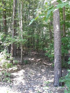 163 Shagbark Court