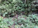 Lot 7 Cedar Falls Drive sold home in Lake Lure, SC