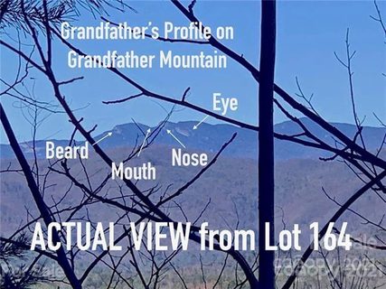 0 Johns Ridge Parkway 164