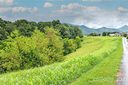 000 Rabbit Ham Road sold home in Leicester, SC