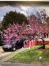 705 S Torrence Street sold home in Charlotte, SC
