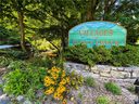 651 Chestnut Flats Lane sold home in Waynesville, SC