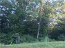 Lot 85 R N Running Deer Trail sold home in Horse Shoe, SC