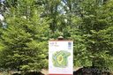 75 Grove Cove Drive Lot 5 sold home in Asheville, SC