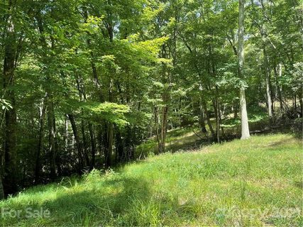280 Panther Knob Drive 6