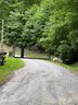 0 English Setter Trail 7 sold home in Whittier, SC