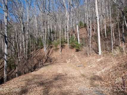67 Giffords Lane 10 sold lot in Pinchot Forest, Asheville, NC