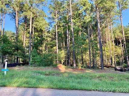 6288 Chimney Bluff Road 43