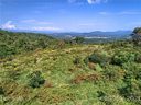 725 Hutch Mountain Road sold home in Fletcher, SC