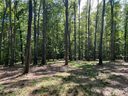 1390 Trotter Circle 21 sold home in Mount Pleasant, SC