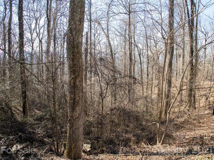 99999 Old Forest Drive 1C sold lot in Pinchot Forest, Asheville, NC