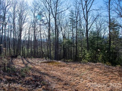 46 Giffords Lane 12 sold lot in Pinchot Forest, Asheville, NC