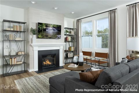 17025 Carolina Hickory Drive Adriana 153