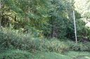 9 Haw View Drive sold home in Mars Hill, SC