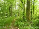 Tbd Running Bear Road sold home in Hot Springs, SC