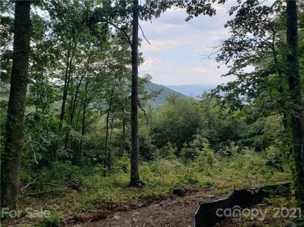 0 Autumn Ridge Lane 75