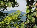 Lot 86 Mountain Lookout Drive LO86 sold home in Bostic, SC