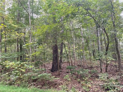 9564 Regent Drive sold home in CedarBrook Acres, Davidson, NC