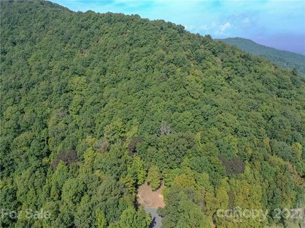 54 Ashewood Ridge Drive sold lot in Ashewood, Candler, NC