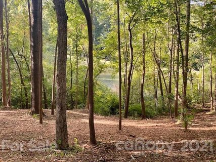 2391 Duckhook Lane 5