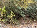 00 Waggoners Way sold home in Saluda, SC