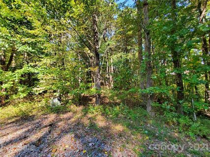 Tbd Eastatoe Gap Road LT 2 sold lot in Eastatoe Gap, Rosman, NC