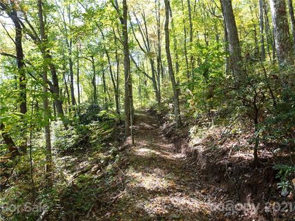 0 Chestnut Forest Road